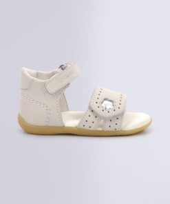 Ordercraze.shop773494ac19 2