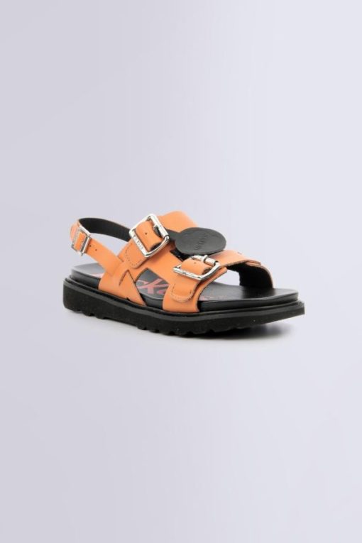 Ordercraze.shop77395126b6 1