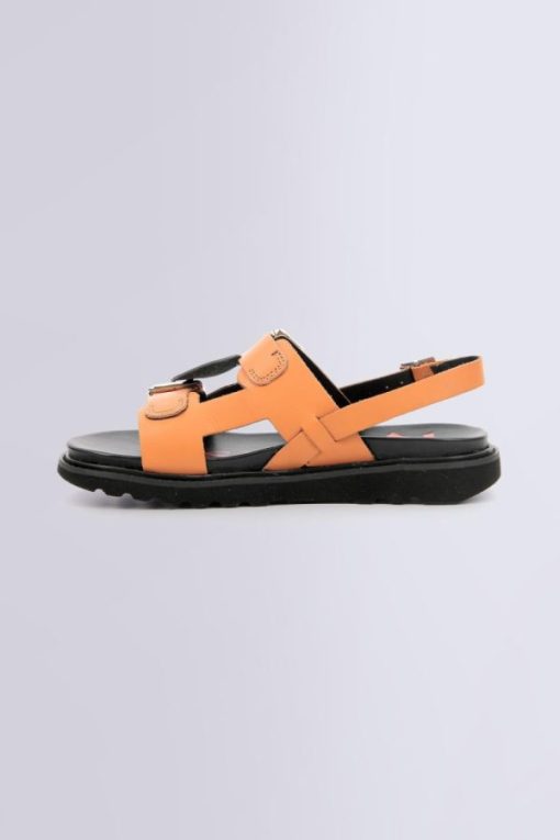 Ordercraze.shop77395126b6 3