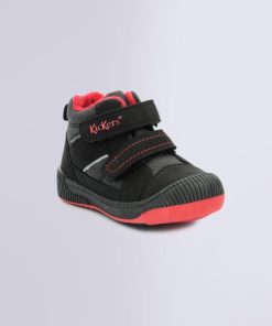 Ordercraze.shop78cfb787ad 1