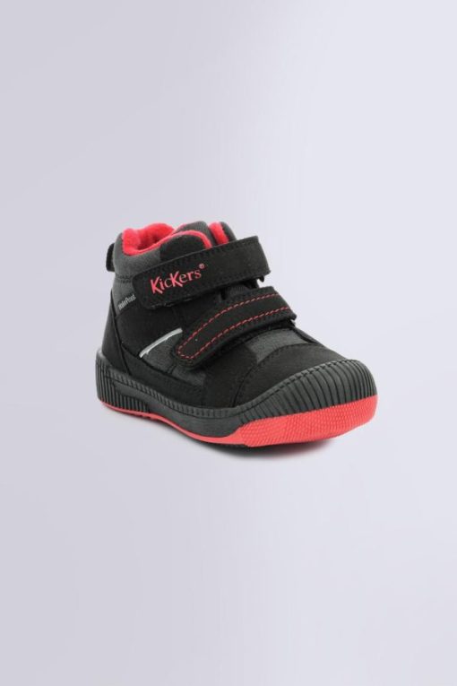 Ordercraze.shop78cfb787ad 1