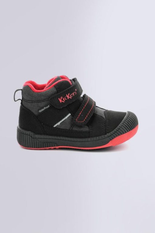 Ordercraze.shop78cfb787ad 2