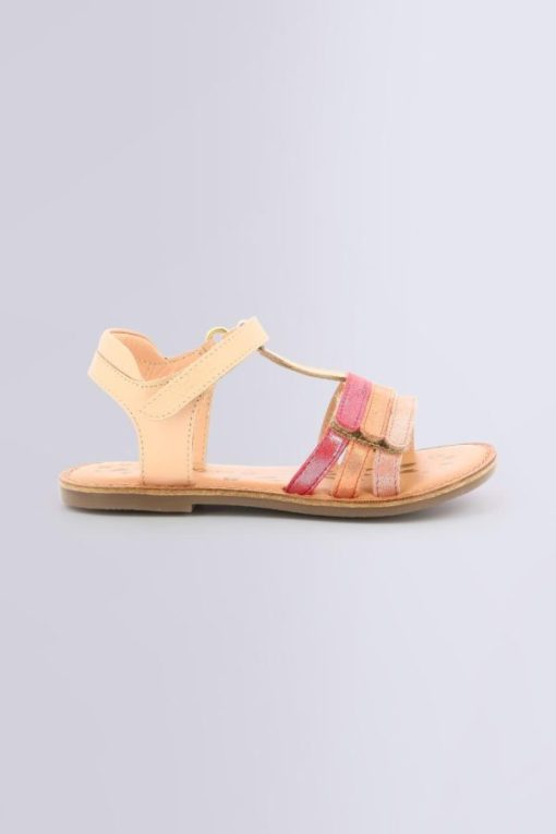 Ordercraze.shop7a2477f846 2