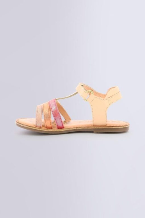 Ordercraze.shop7a2477f846 3