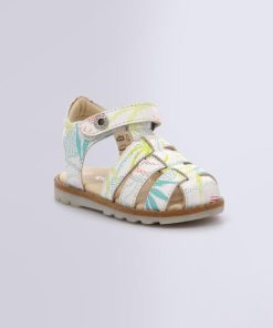 Ordercraze.shop7b74bb7070 1