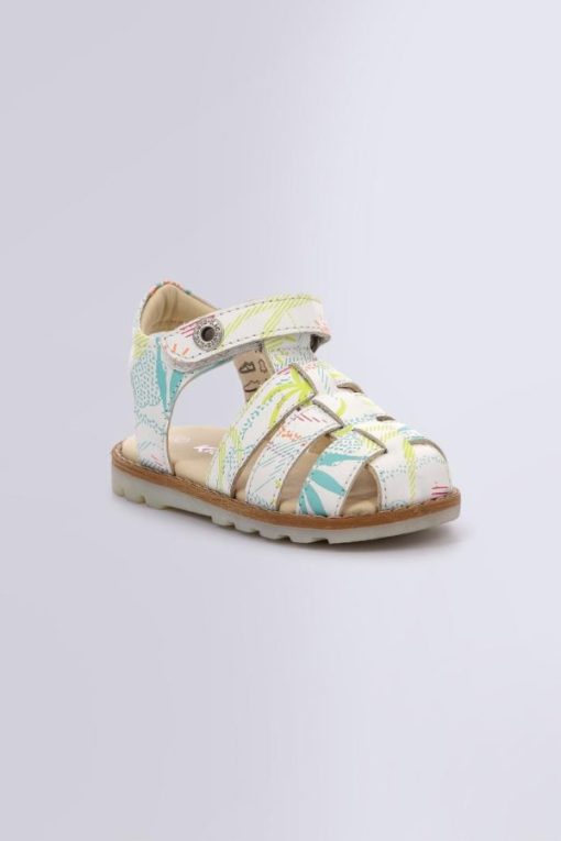 Ordercraze.shop7b74bb7070 1