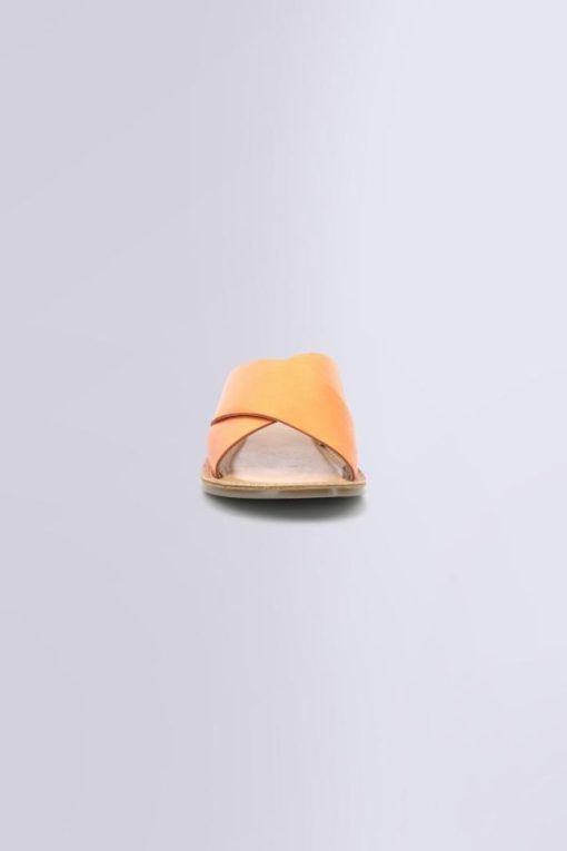 Ordercraze.shop7d9b9af3a0 4