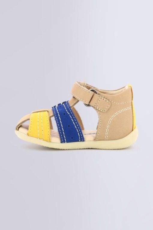 Ordercraze.shop7dd57c2e68 3