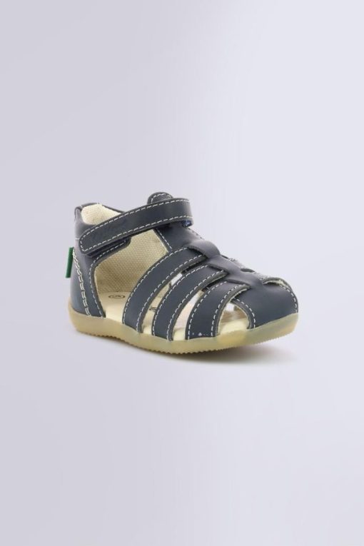 Ordercraze.shop7dea86d03c 1