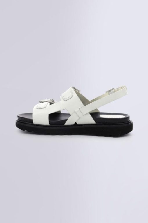 Ordercraze.shop7fcc744058 3