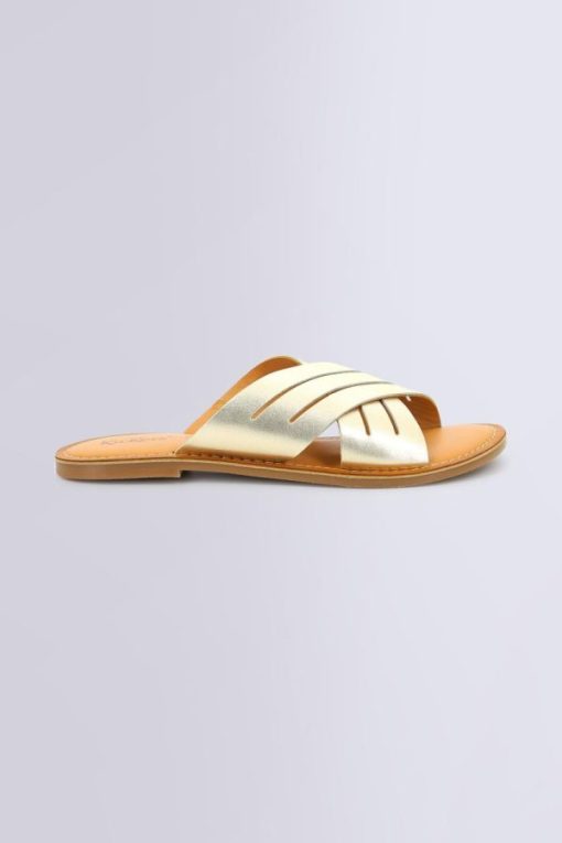 Ordercraze.shop8168ce6dce 2