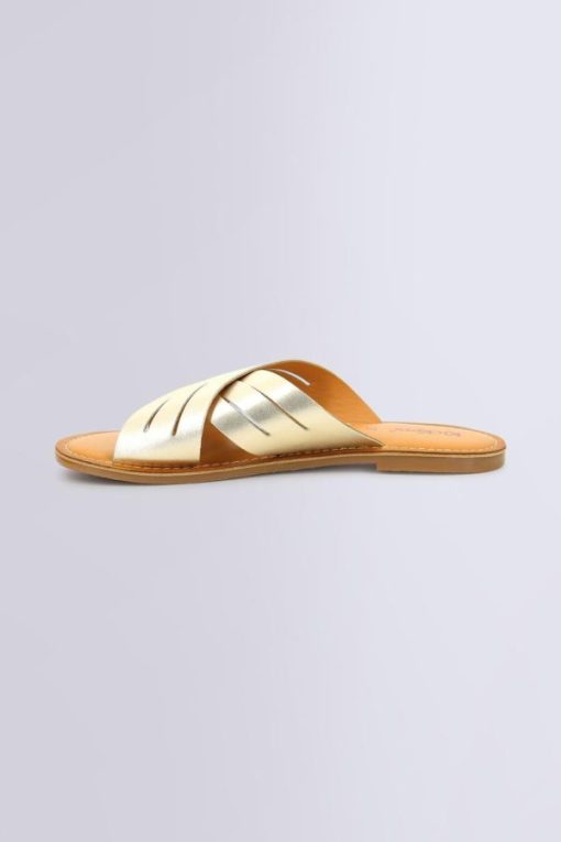 Ordercraze.shop8168ce6dce 3