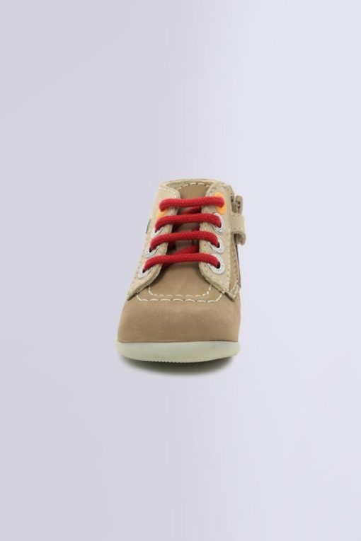 Ordercraze.shop8271e652c5 4