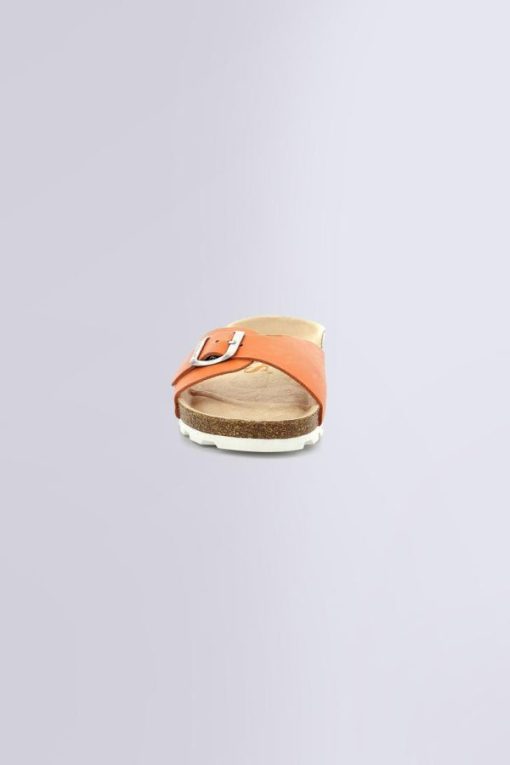 Ordercraze.shop828c9fff4d 4