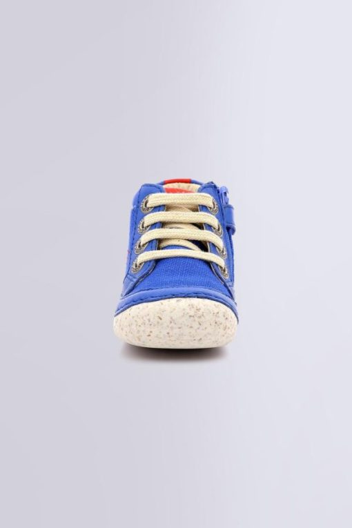 Ordercraze.shop83f8b12fda 4