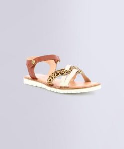 Ordercraze.shop843cd791b3 1