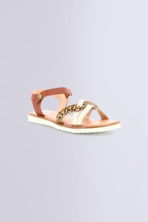 Ordercraze.shop843cd791b3 1