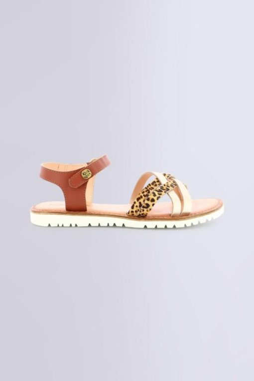 Ordercraze.shop843cd791b3 2