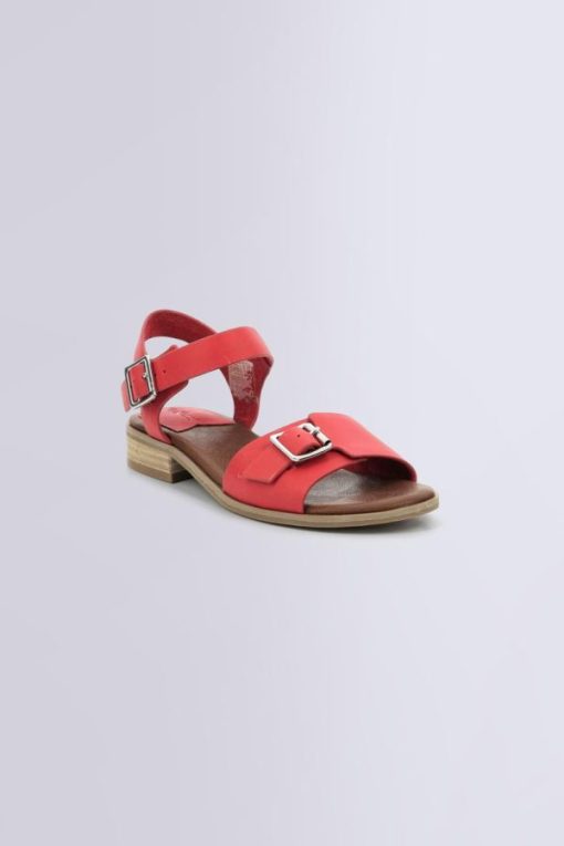 Ordercraze.shop86389f99e9 1
