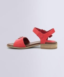 Ordercraze.shop86389f99e9 3