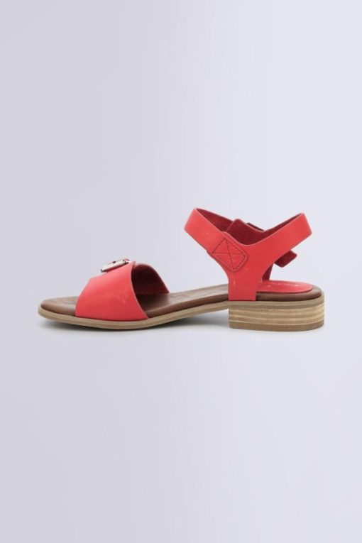 Ordercraze.shop86389f99e9 3