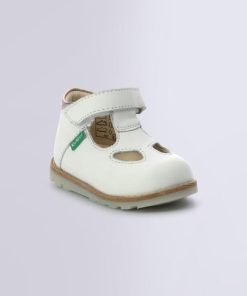 Ordercraze.shop87fce3822e 1