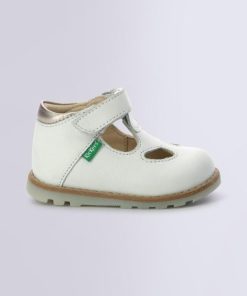 Ordercraze.shop87fce3822e 2