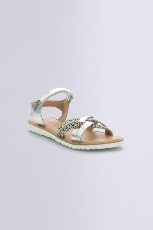 Ordercraze.shop89704d4385 1