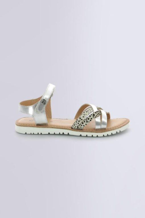 Ordercraze.shop89704d4385 2
