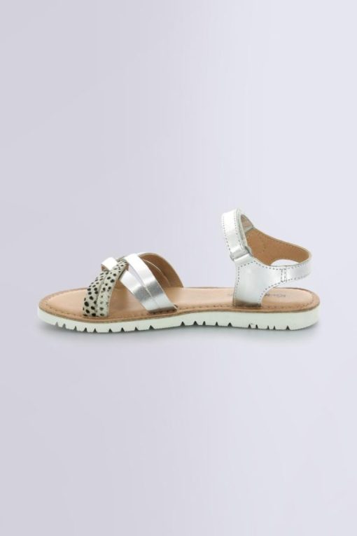 Ordercraze.shop89704d4385 3