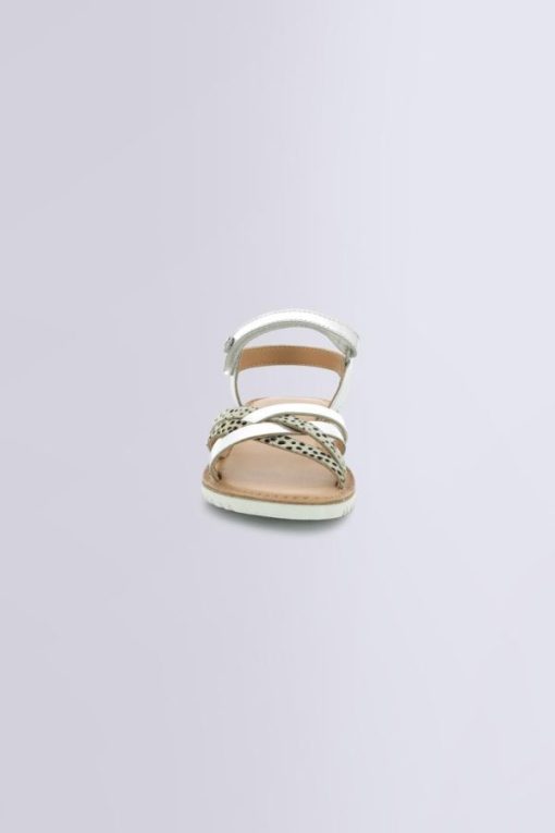 Ordercraze.shop89704d4385 4