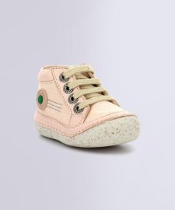 Ordercraze.shop898a651794 1
