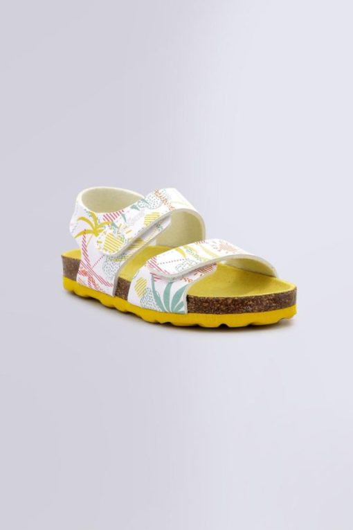 Ordercraze.shop8b8e649f63 1