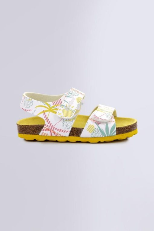 Ordercraze.shop8b8e649f63 2
