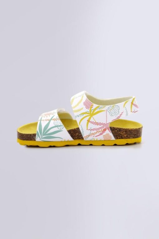 Ordercraze.shop8b8e649f63 3