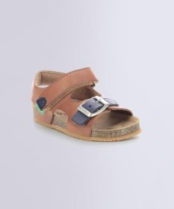 Ordercraze.shop8e87d09bbb 1