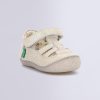 Ordercraze.shop8f7bd3d47d 1