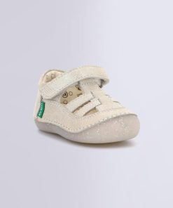 Ordercraze.shop8f7bd3d47d 1