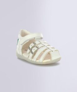 Ordercraze.shop90299d3182 1