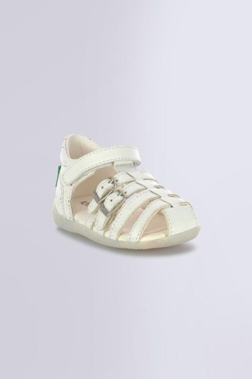 Ordercraze.shop90299d3182 1