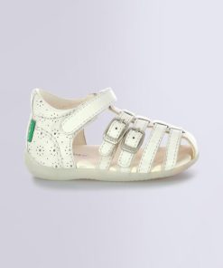Ordercraze.shop90299d3182 2