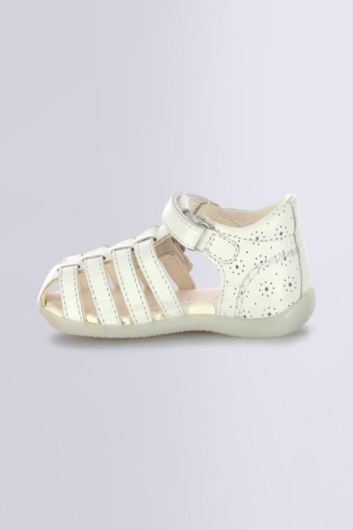 Ordercraze.shop90299d3182 3