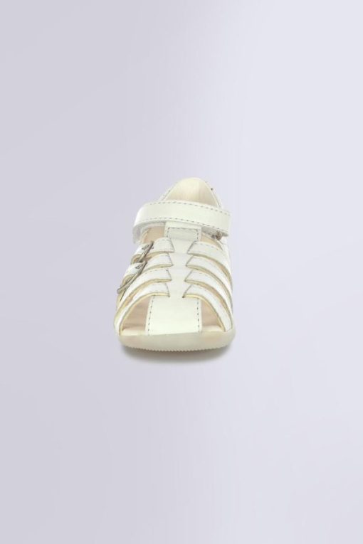 Ordercraze.shop90299d3182 4