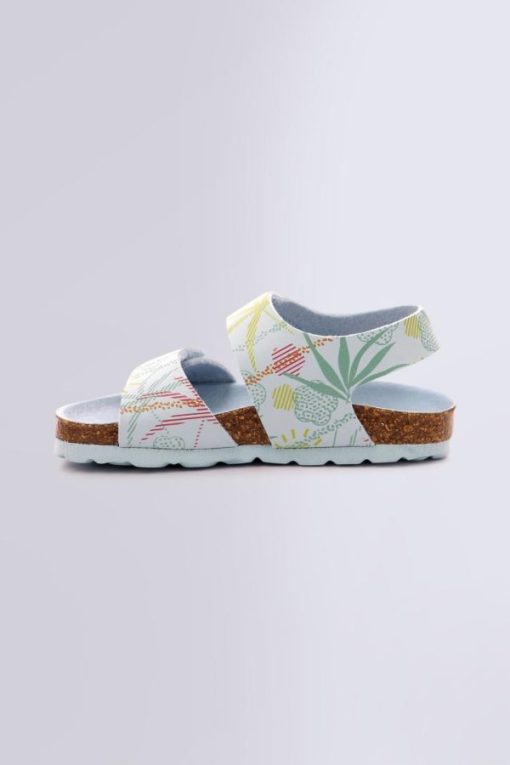 Ordercraze.shop9343d8a69e 3