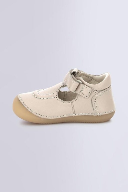 Ordercraze.shop9526caacf3 3