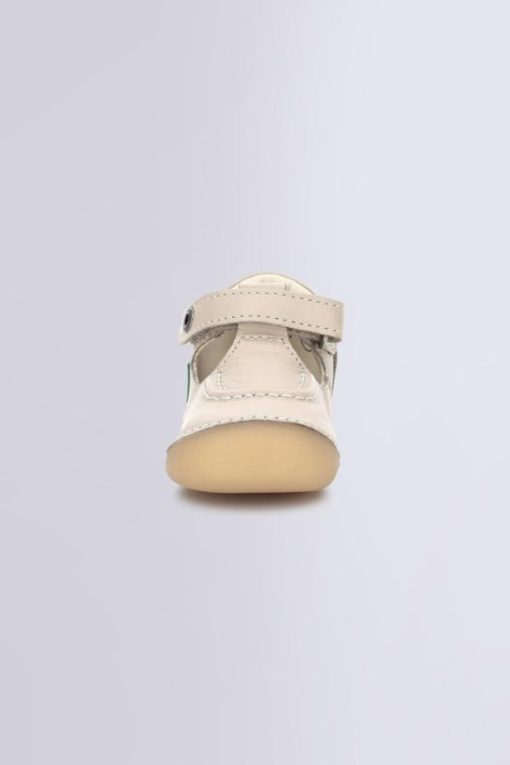 Ordercraze.shop9526caacf3 4