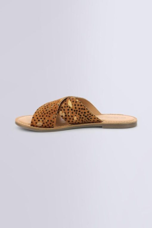 Ordercraze.shop9611b98b89 3