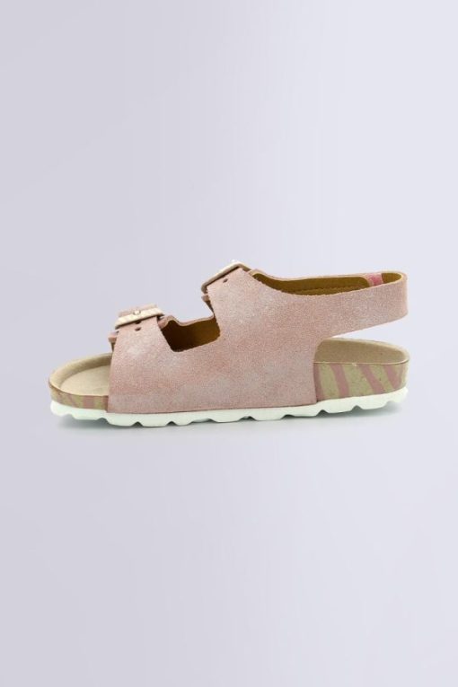 Ordercraze.shop988fb0a5f2 3
