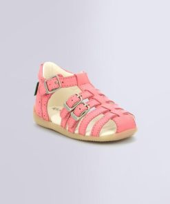 Ordercraze.shop98b19e2627 1