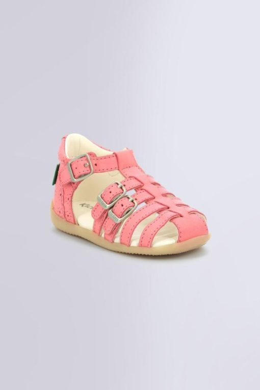 Ordercraze.shop98b19e2627 1